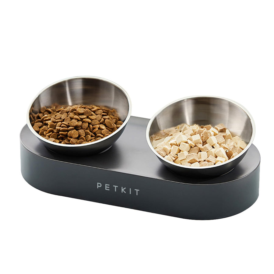 Raised Dog Cat Food Bowl 304 Stainless Steel, Elevated Pet Food and Water Bowl Dishes, Elevated Cat Bowls, Non-Slip Tilted Cat Bowl No Spill