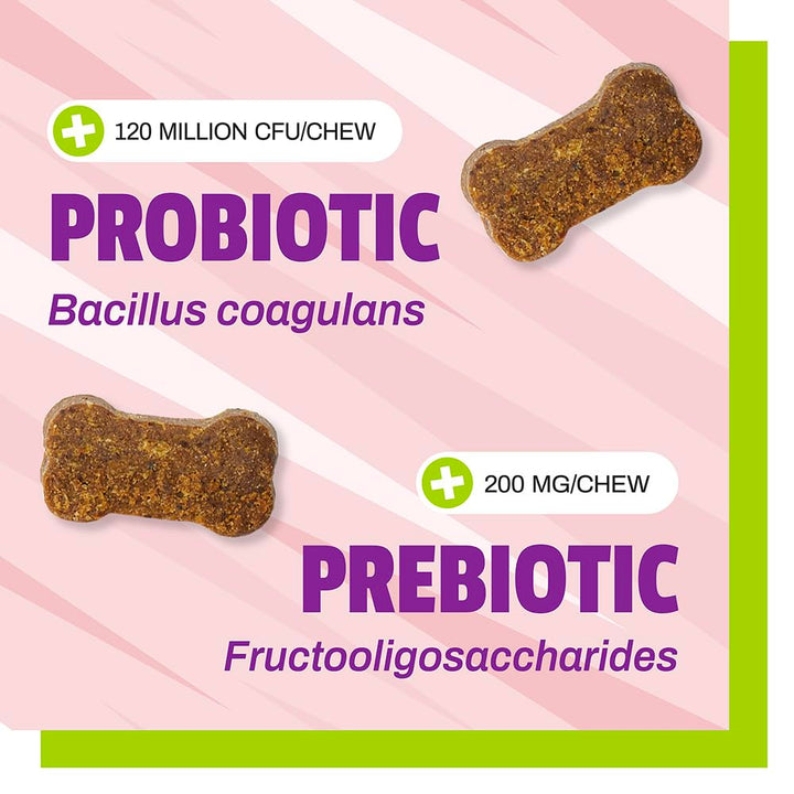 Daily Probiotic for Dogs, 120M CFUs - Pre and Probiotics for Dogs Digestive Health, Gut Health, Immune Support, Diarrhea, Allergies and Itching - 60 Chews, Duck Flavor