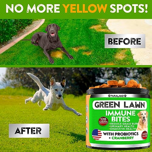 No Poo Chews - Made in USA - Grass Burn Spot Chews for Dogs Digestive Enzymes Grass Treatment Rocks
