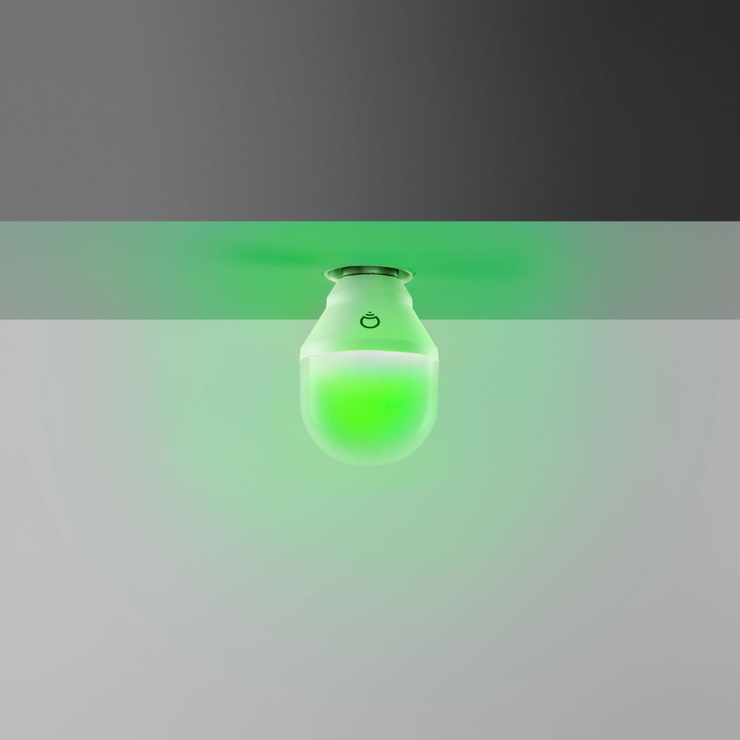 A19 Mini Day and Dusk White Wi-Fi Smart LED Light Bulb, Dimmable, No Hub Required, App and Voice Control, Works with Amazon Alexa, Apple HomeKit, Google Assistant and Microsoft Cortana