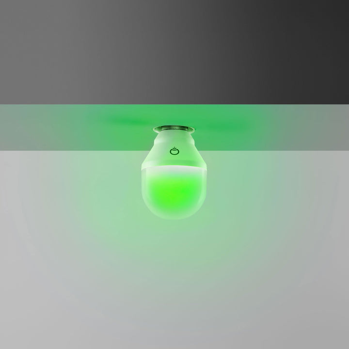 A19 Mini Day and Dusk White Wi-Fi Smart LED Light Bulb, Dimmable, No Hub Required, App and Voice Control, Works with Amazon Alexa, Apple HomeKit, Google Assistant and Microsoft Cortana
