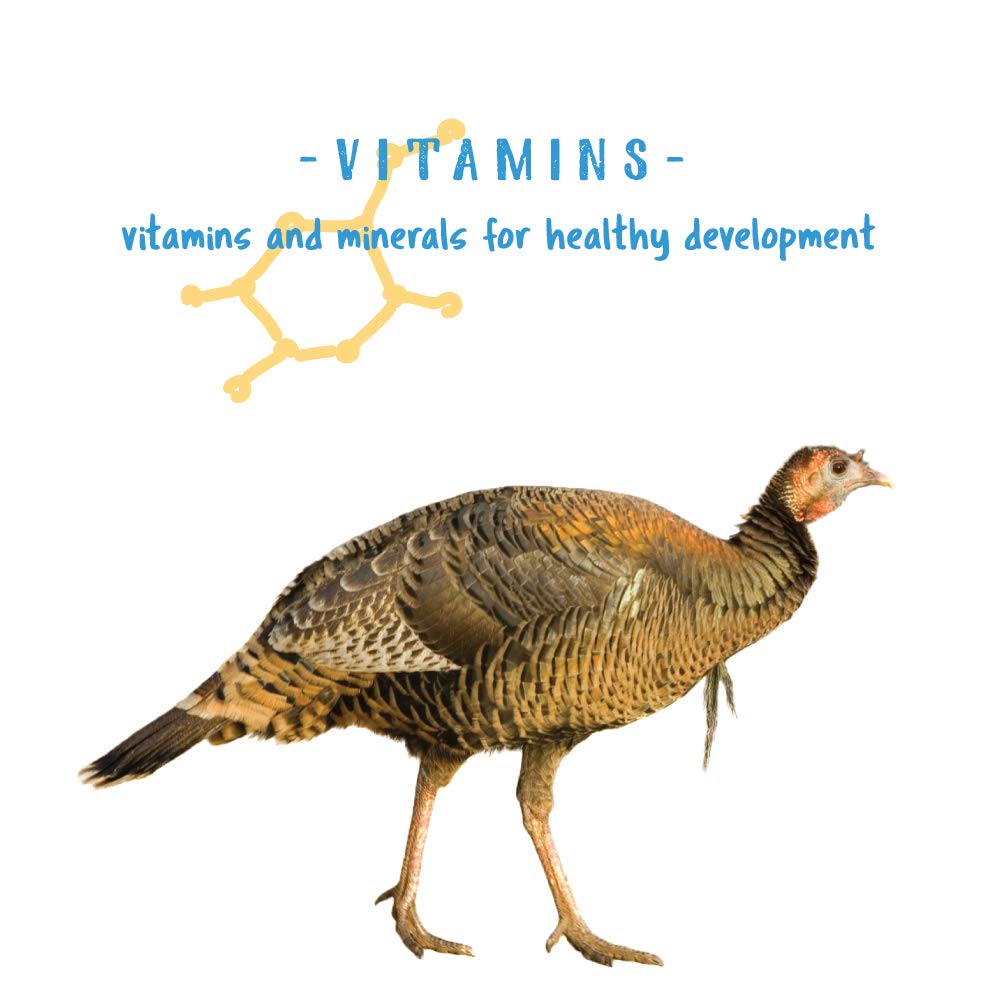 Manna Pro Gamebird Showbird Crumbles, Healthy Poultry Feed, Formulated with Vitamins & Minerals, 5 lbs