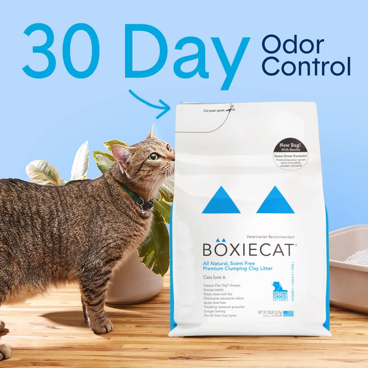 Boxie® Unscented 30 Day Natural Odor Control Cat Litter, 16lb Clumping Clay Kitty Litter