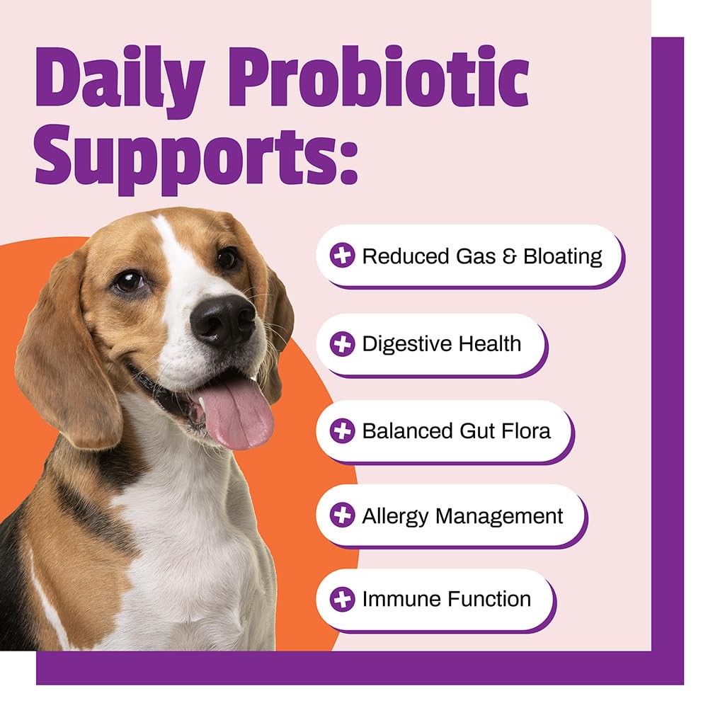 Daily Probiotic for Dogs, 120M CFUs - Pre and Probiotics for Dogs Digestive Health, Gut Health, Immune Support, Diarrhea, Allergies and Itching - 60 Chews, Duck Flavor