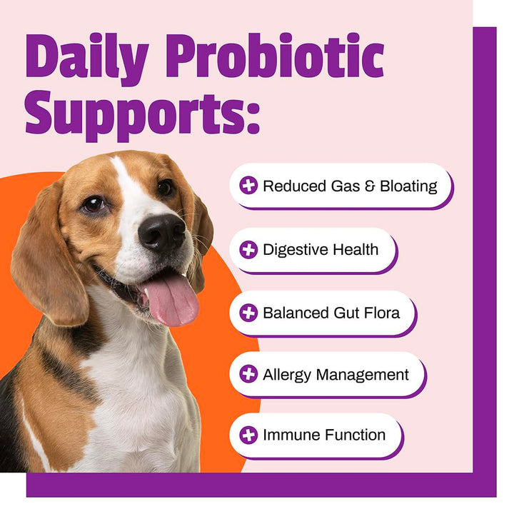 Daily Probiotic for Dogs, 120M CFUs - Pre and Probiotics for Dogs Digestive Health, Gut Health, Immune Support, Diarrhea, Allergies and Itching - 60 Chews, Duck Flavor