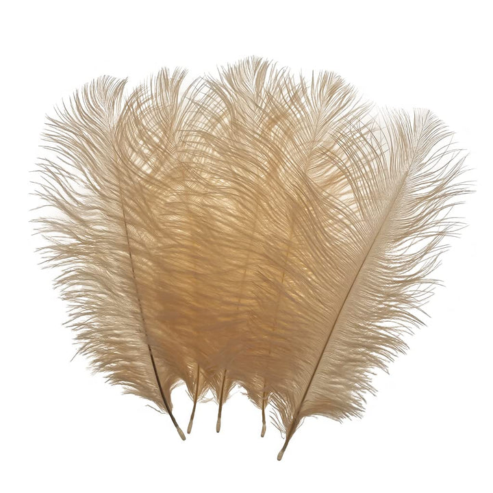 50pcs 8-10inches Ostrich Feathers Craft for Wedding Party centerpieces Home Decoration (Champagne)