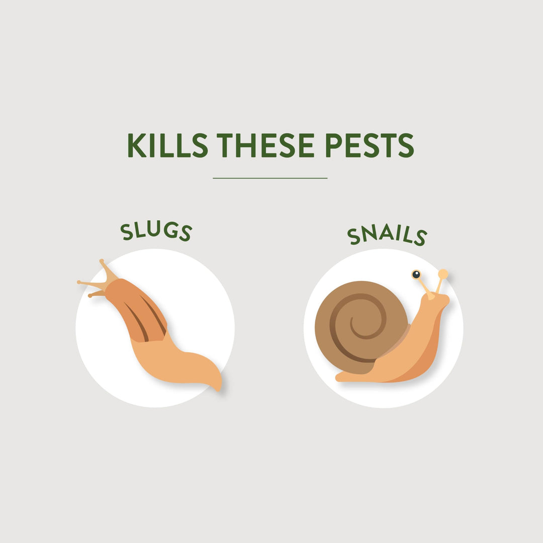 Brand Slug &amp; Snail Bait Granules, 2 Pounds, Slugs &amp; Snails Begin to Die Within 3 to 6 Days, Can Be Used Around Pets &amp; Wildlife, For Lawns, Gardens &amp; Greenhouses, 1 Pack