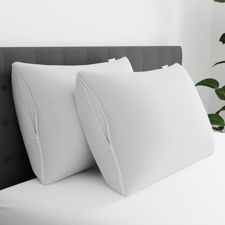 Aller-Ease Maximum Allergy Pillow Protector Standard/Queen, 2-Pack ââ‚¬â€œ Hypoallergenic Pillowcase, Zippered Design Prevents Collection of Bedbugs and Allergens, Machine Washable, 2 Pack, White