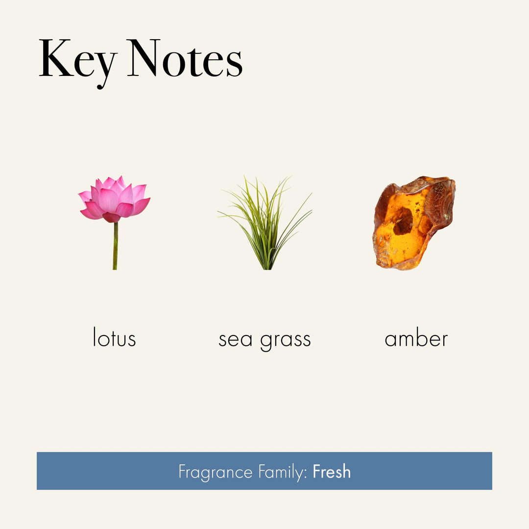 LAFCO New York Signature Scented Candle (Sea &amp; Dune, Beach House - 15.5 oz)