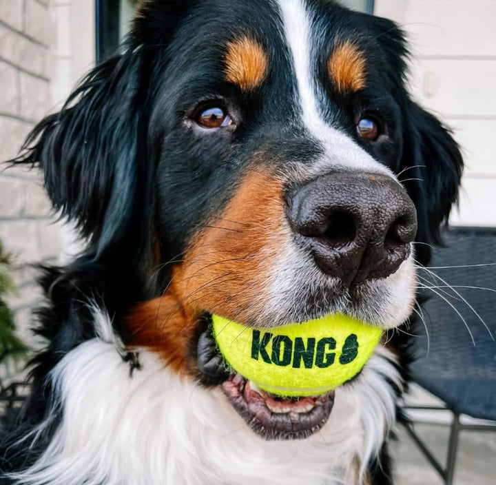 Kong Air Squeaker Tennis Balls Size:Medium(6_Balls)