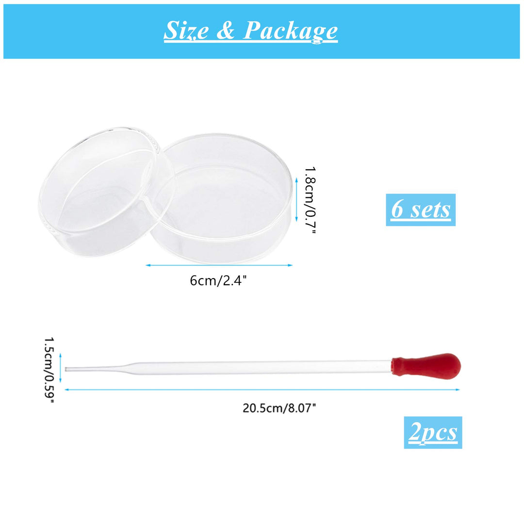 OLYCRAFT 6PCS Glass Petri Dishes High Borosilicate Glas