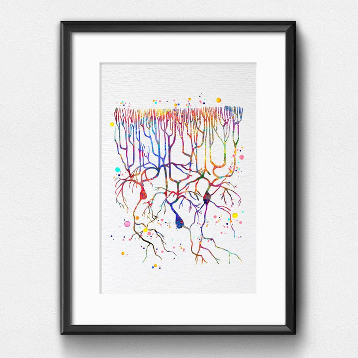 Dignovel Studios 8X10 Unframed Purkinje Neuron Watercol