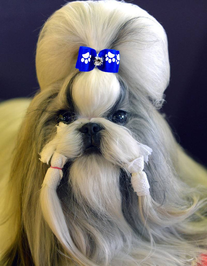 24pcs/12 Pairs Adorable Grosgrain Ribbon Pet Dog Hair Bows with Rubber Bands - Puppy Topknot Cat Kitty Doggy Grooming Hair Accessories Bow knots Headdress Flowers Set for Groomer