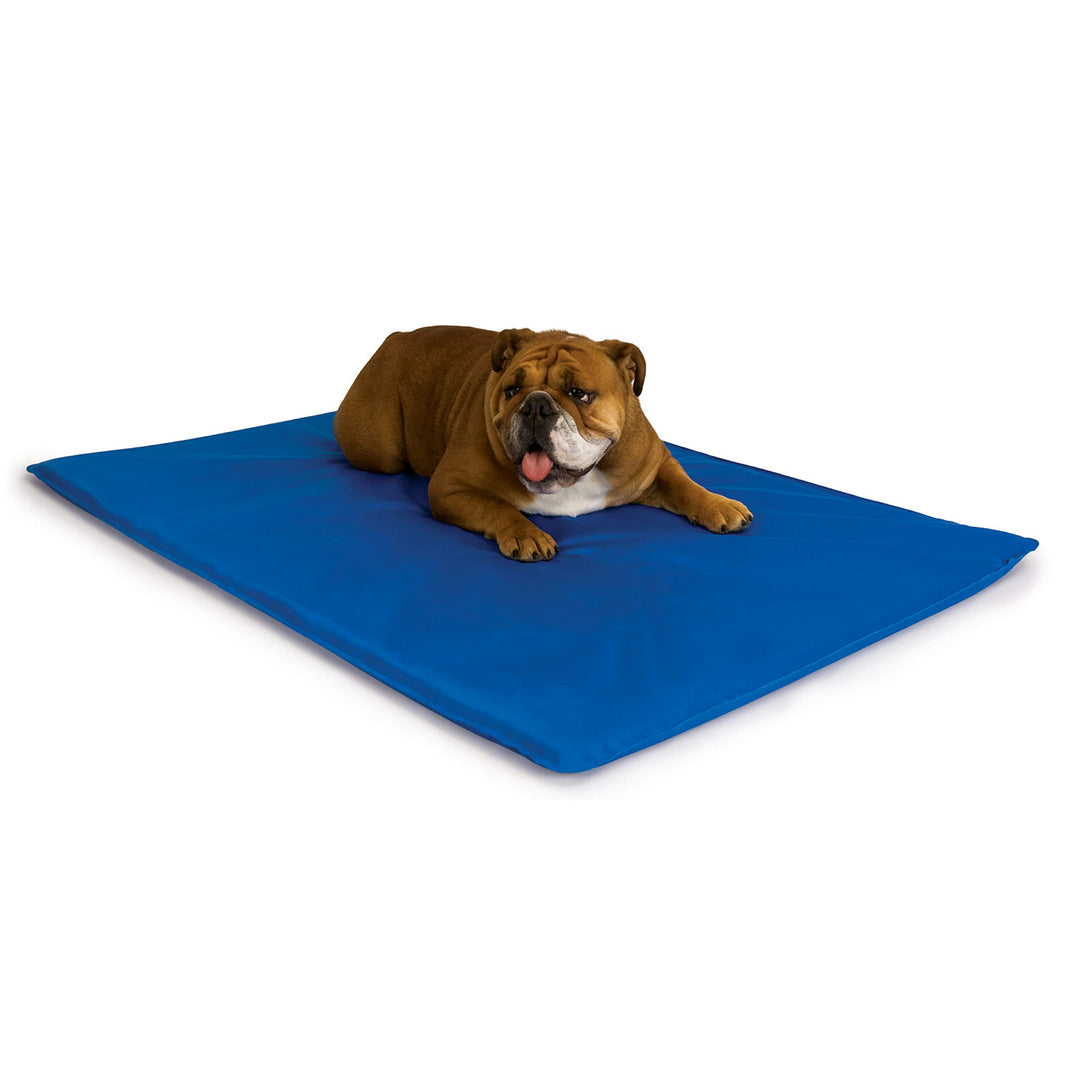 K&amp;H Pet Products Cool Bed III Dog Cooling Mat, Indoor Outdoor Cooling Beds for Medium Dogs, Chilling Pet Pad for in Home, Outdoor Houses, Crates, Yards, Porches - Medium 32 X 22in Chill Blue