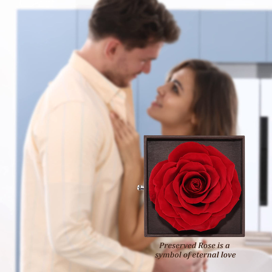 Roses Gift Preserved Real Rose with Jewelery Box, Artificial Flowers Decor for Decoration Romantic Gifts for Women in Her Wife Girlfriend Birthday Anniversary Valentines Day Mothers Day Christmas(Red)