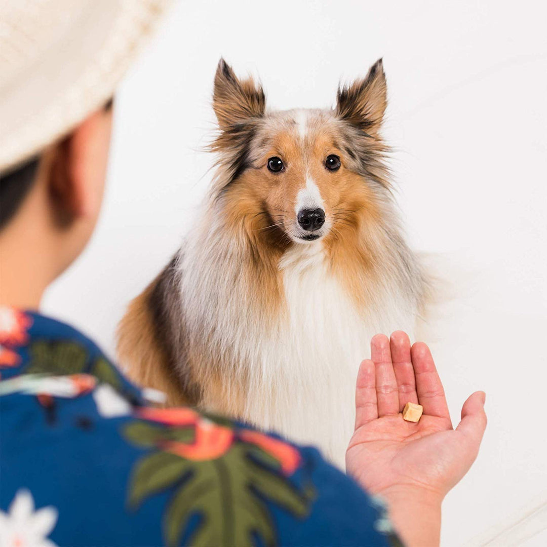 All Natural Freeze Dried Wild Alaskan Salmon Treats for Cats &amp; Dogs - Single Ingredient No Grain Snack with No Additives or Preservatives, 5 Ounce Bag