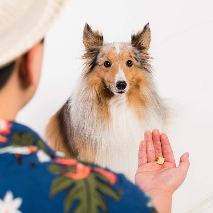 All Natural Freeze Dried Wild Alaskan Salmon Treats for Cats &amp; Dogs - Single Ingredient No Grain Snack with No Additives or Preservatives, 5 Ounce Bag