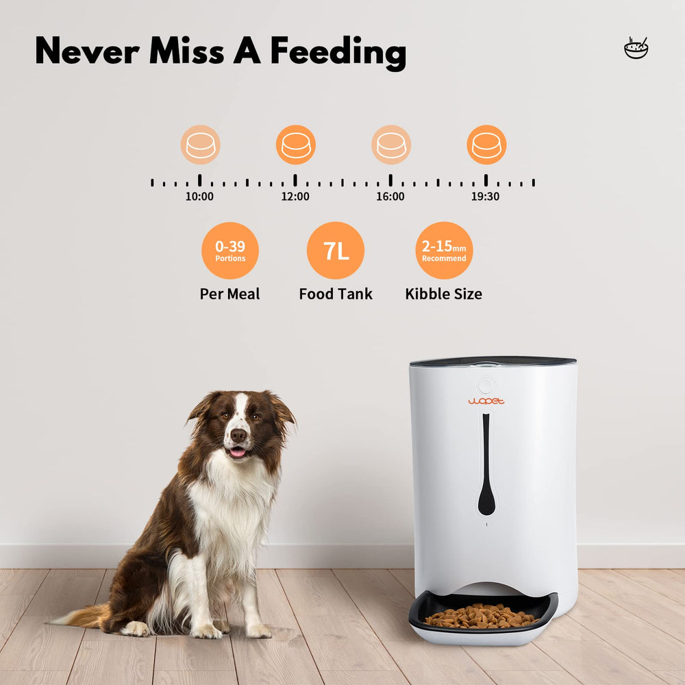 Automatic Pet Feeder Food Dispenser for Cats and Dogs–Features: Distribution Alarms,Portion Control,Voice Recorder, & Programmable Timer for up to 4 Meals per Day