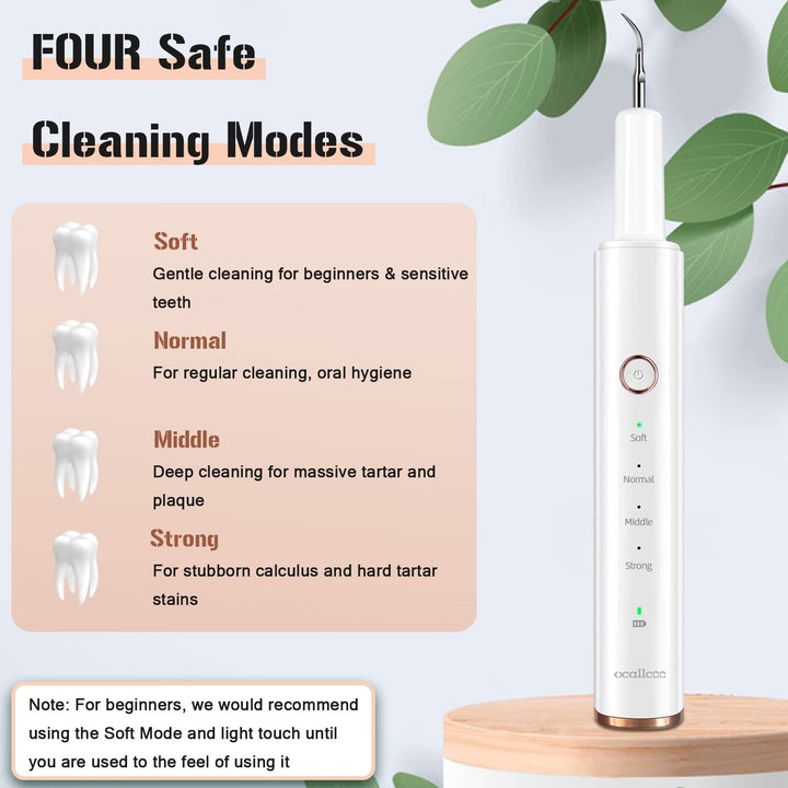 Plaque Remover for Teeth, Electric Tooth Cleaner Tartar Remover for Teeth with LED Light,4 Modes Rechargeable Teeth Cleaning Kit with Dental Tools, 2 Replaceable Heads (White A)