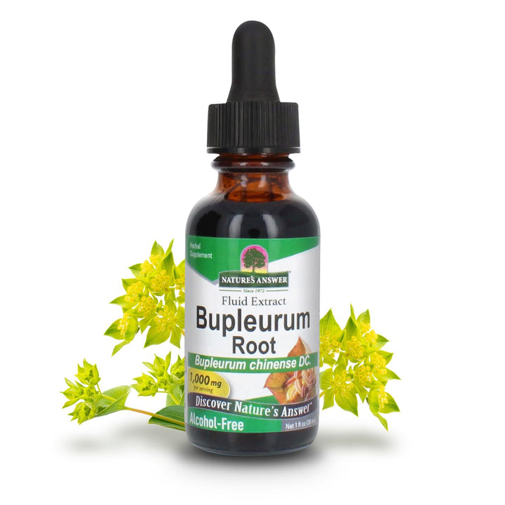 Nature’s Answer Bupleurum Root Bupleurum Chinense - Nat