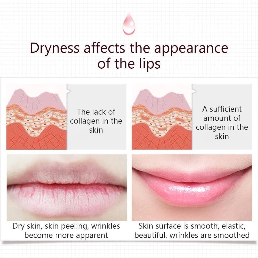 Lip Lasting Moisture Collagen Replenisment Sexy Delicious Lips 20g