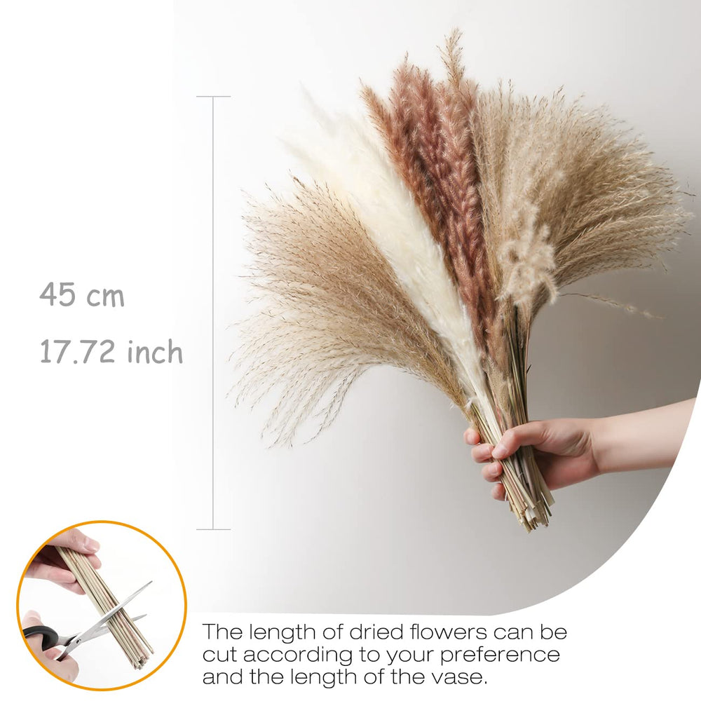 16.92 Dried White Pampas Grass 15 Pcs|Brown Dried Flower 15 Pcs|60 Pcs Natural Bunny Tails, Dried Flower for for Wedding Decoration & Home Arrangement (80 Pcs)