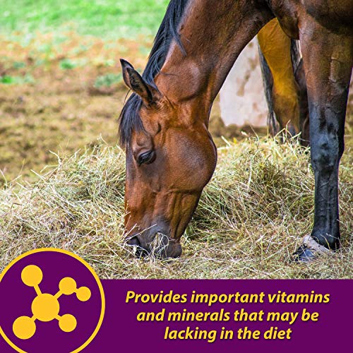 Farnam Horse Health Red Cell Pellets, Vitamin-Iron-Mineral Supplement for Horses, Helps Fill Important Nutritional Gaps in Horse's Diet, 4 lbs., 64-Day Supply
