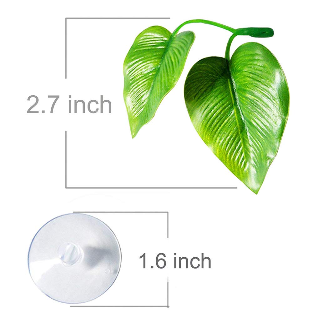 2 Pack Betta Fish Leaf Pad Improves Betta&#39;s Health by Simulating The Natural Habitat - Natural, Organic, Comfortable Rest Area for Fish Aquarium Ornaments