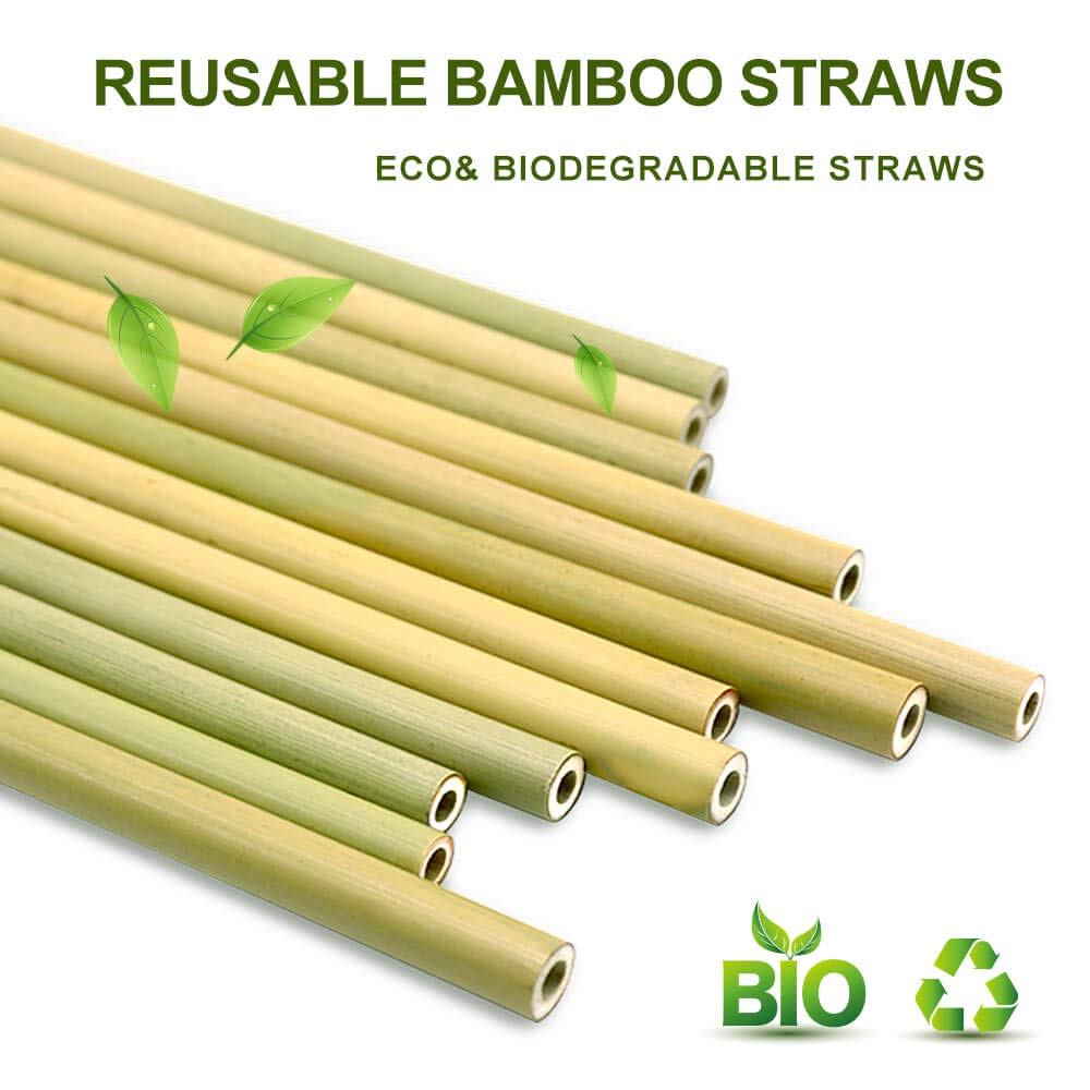 DR.Perfect Reusable Straws Biodegradable BPA Free Non T