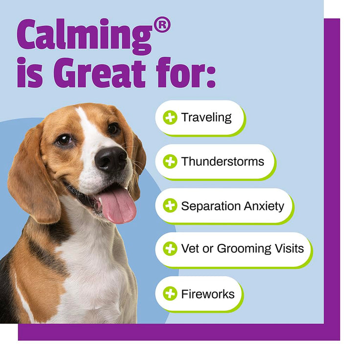 Calming for Dogs, 30 Chews - Naturally Sourced Stress and Anxiety Calming Ingredients for Behavior Support - Vet Recommended