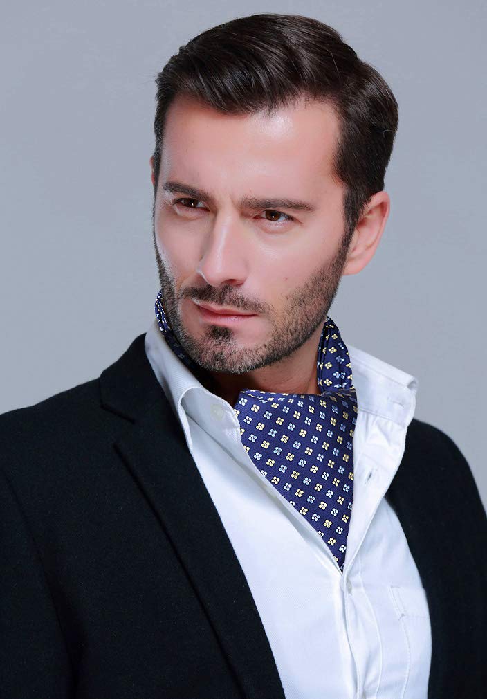 HISDERN Ascot Tie Mens Formal Cravat Ties Floral Paisle