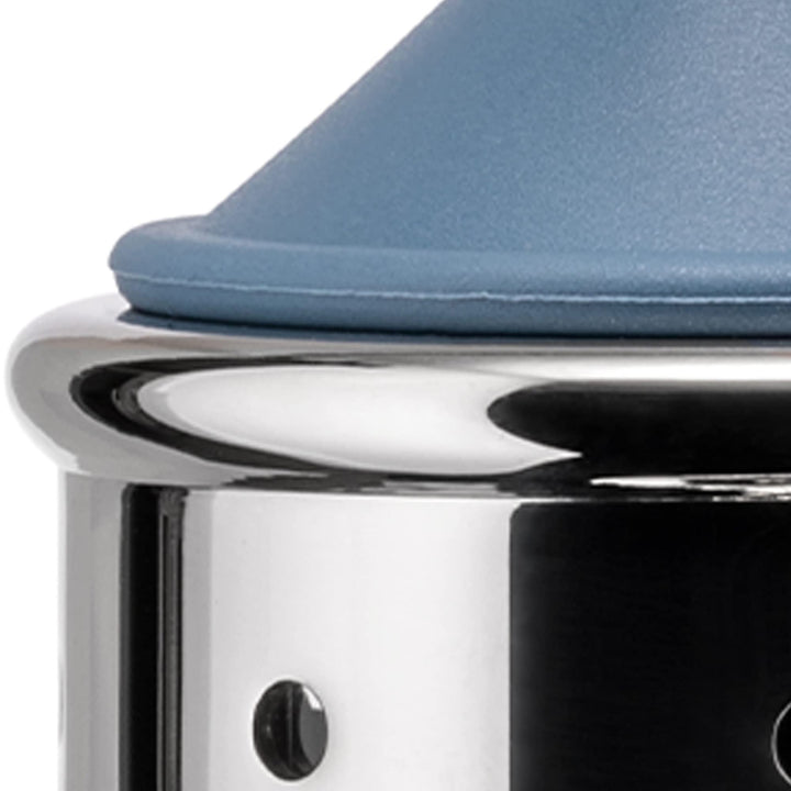 Michael Graves Salt Castor