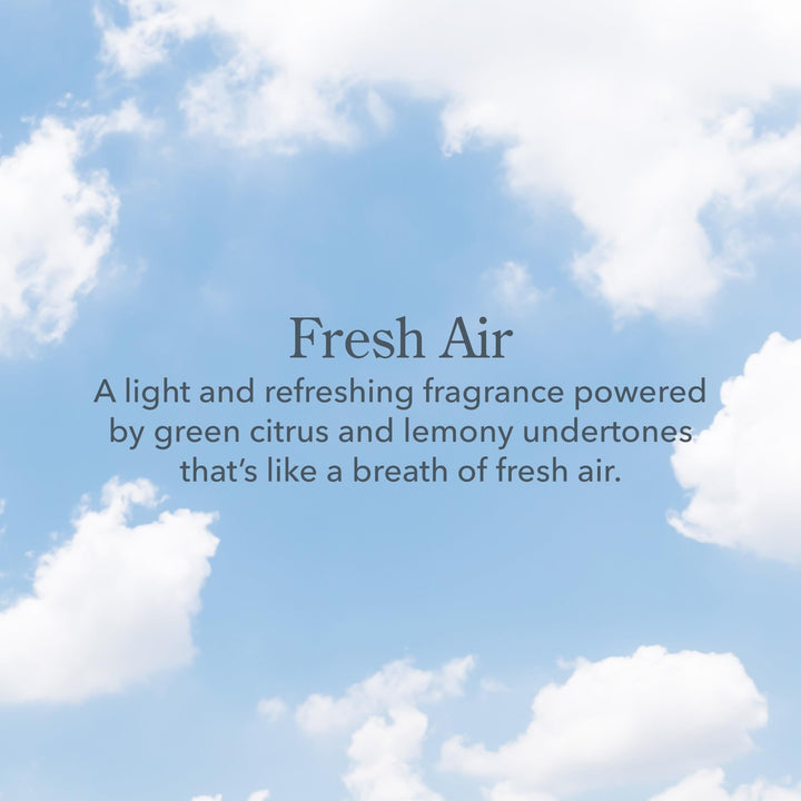 Beekman 1802 All Natural Lip Balm (Fresh Air) by Beekman 1802