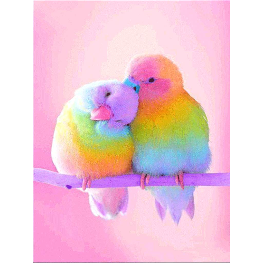 DIY Round Full Drill Diamond Painting Kits for Adults, 2 Parrots Full Drill Rhinestone Embroidery Cross Stitch Kits Supply Arts Craft Canvas Wall Decor Stickers Home Decor 12x16 inches