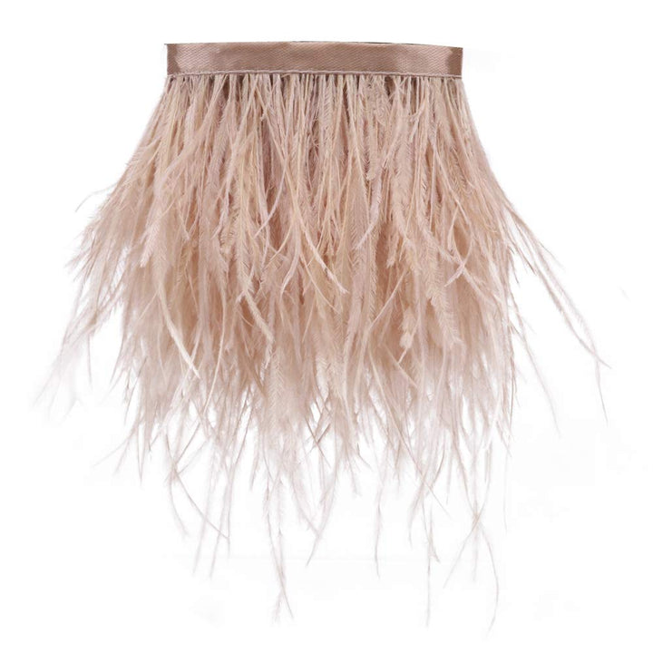 Ostrich Feathers Sewing Fringe Trim Ribbon for Crafts Clothes Accessories Latin Wedding Dress DIY 2 Yards 4-6inch Width (Champagne)