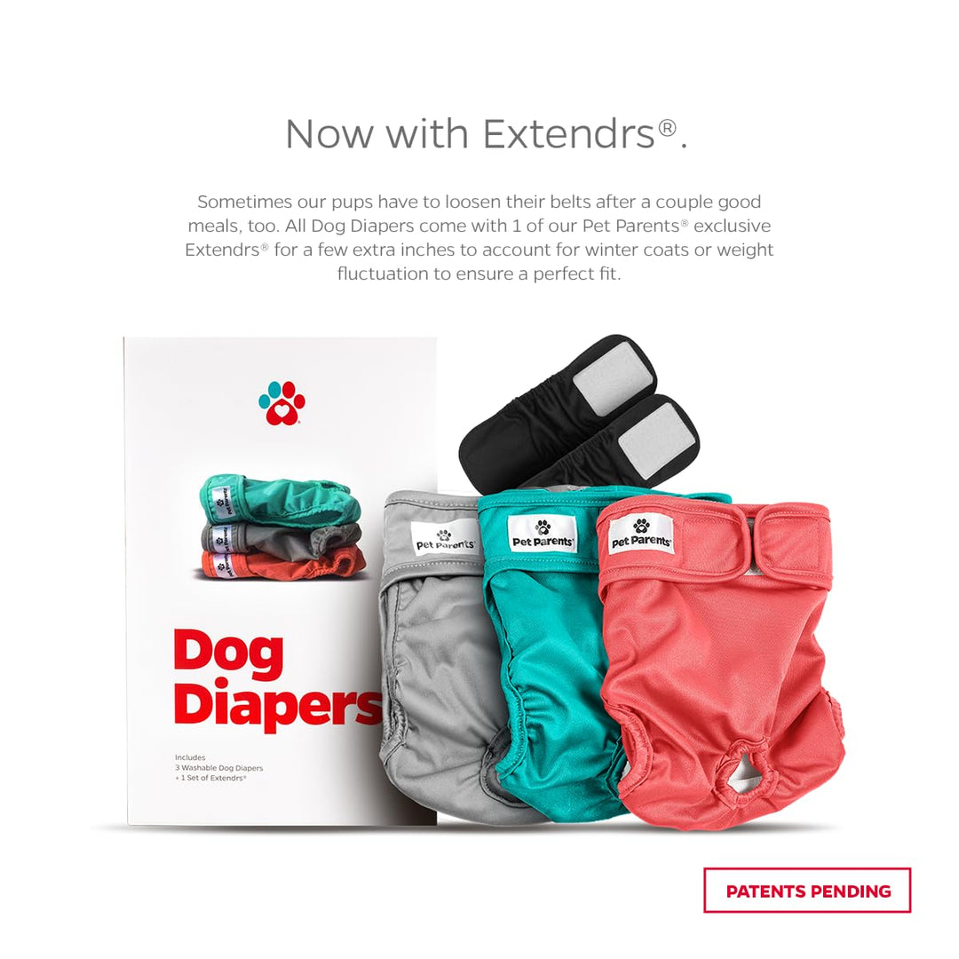 ® Washable Dog Diapers (3pack) + Extendrs® of Durable Doggie Diapers, Premium Dog Diapers Female (Medium, Southern Belle)