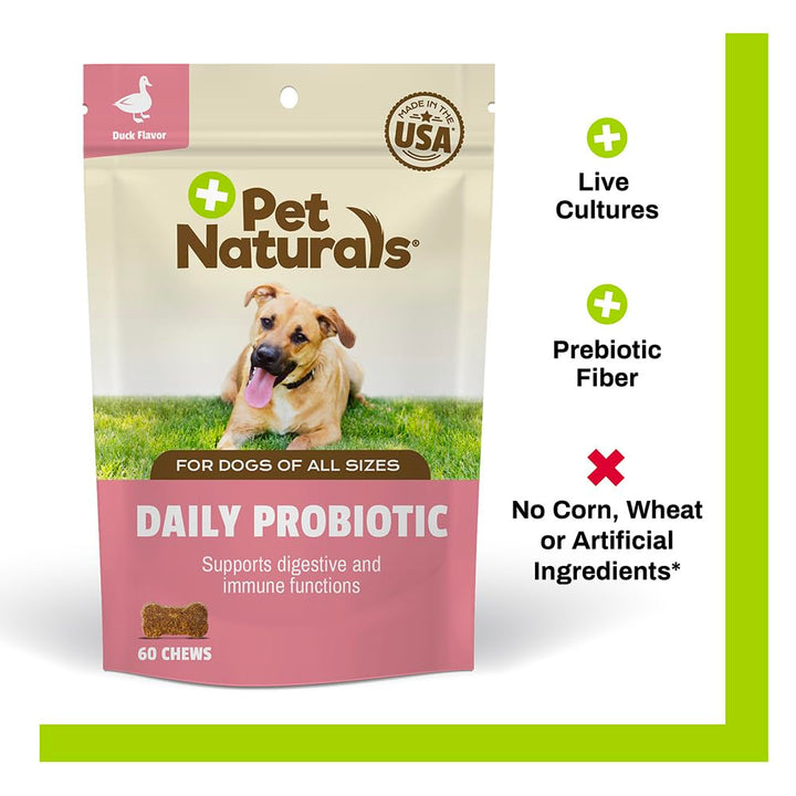 Daily Probiotic for Dogs, 120M CFUs - Pre and Probiotics for Dogs Digestive Health, Gut Health, Immune Support, Diarrhea, Allergies and Itching - 60 Chews, Duck Flavor