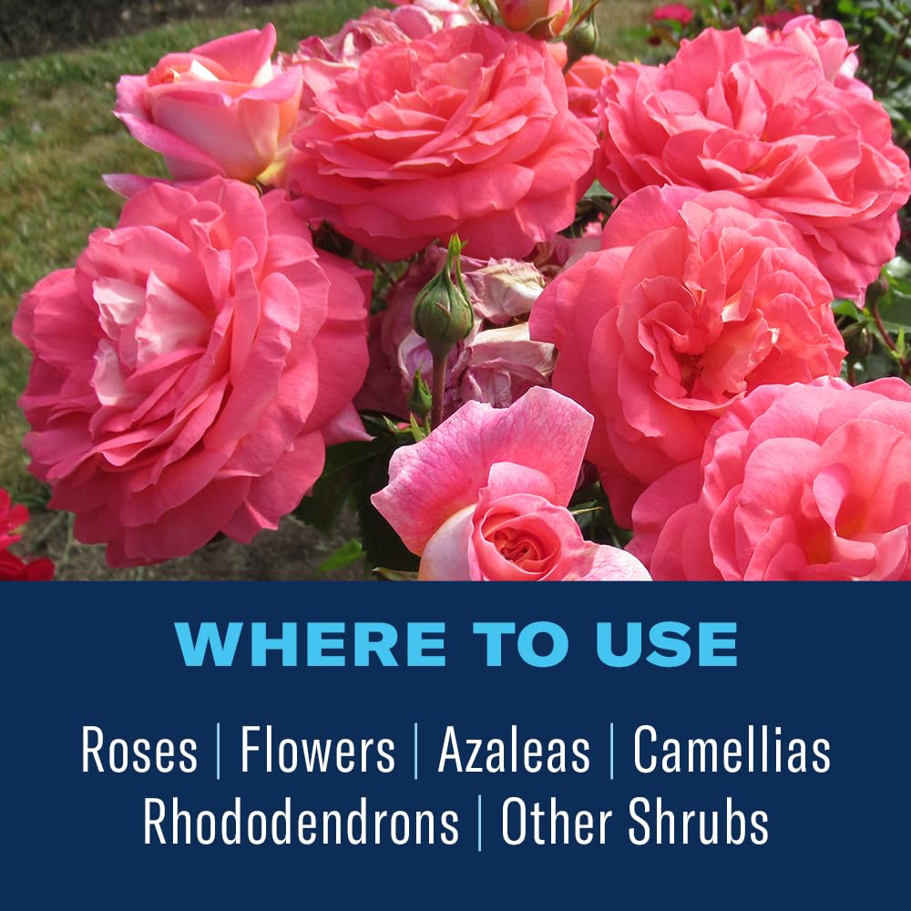 BioAdvanced 70111A All-in-One Rose and Flower Care, Fer