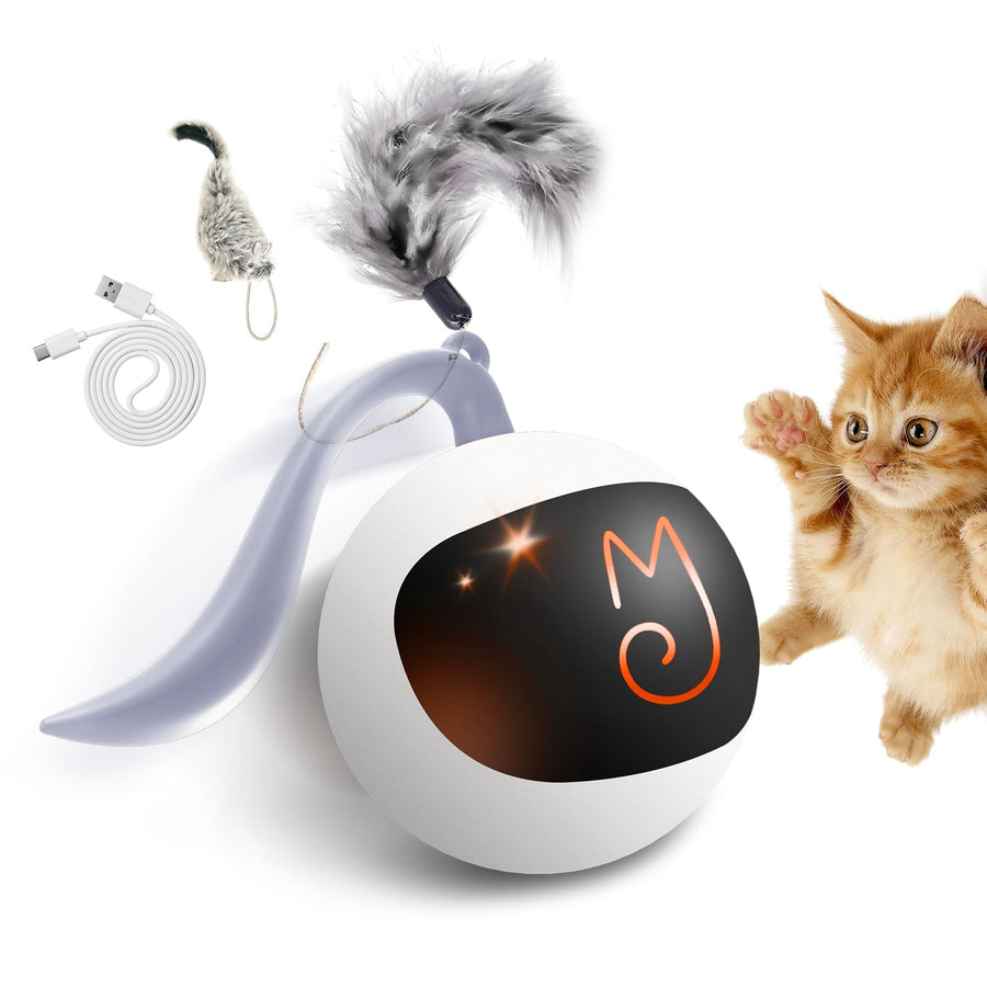 Interactive Cat Ball Toy Set, Fun Tracker, Automatic Rolling Chase Ball with Fluffy Tail, A Small Mice, Rechargeable(White)