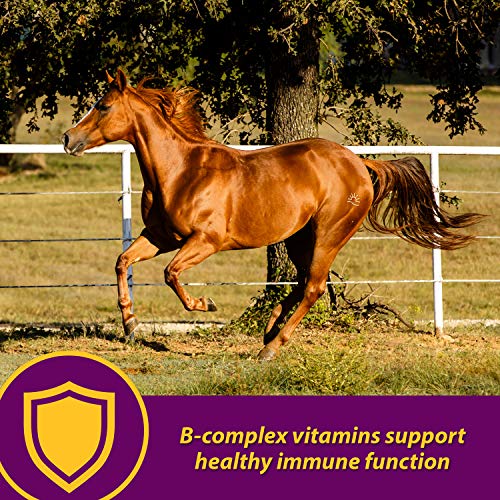 Farnam Horse Health Red Cell Pellets, Vitamin-Iron-Mineral Supplement for Horses, Helps Fill Important Nutritional Gaps in Horse's Diet, 4 lbs., 64-Day Supply