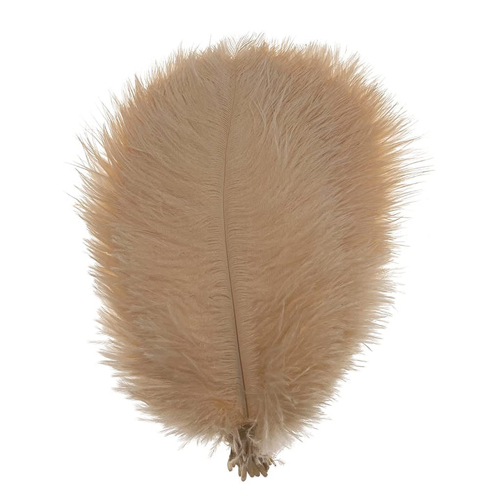 50pcs 8-10inches Ostrich Feathers Craft for Wedding Party centerpieces Home Decoration (Champagne)