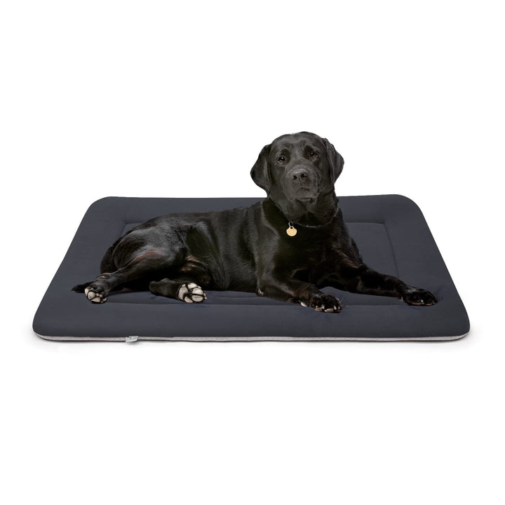 Large Dog Bed Crate Pad Mat Cute Paw Pet Beds for Dogs, 42-Inch Washable Dog Sleeping Mattress Kennel Pad with Anti Slip Bottom, Dark Grey L