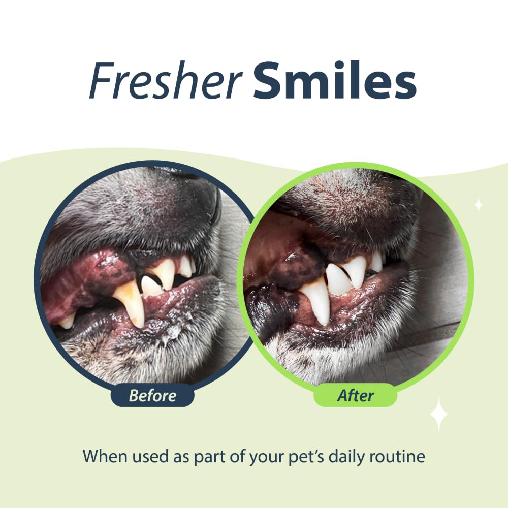 Water Additive for Cats, Original Formula, 8 oz – Cat Breath Freshener – Products for Cats to Help Overall Cat Dental Health