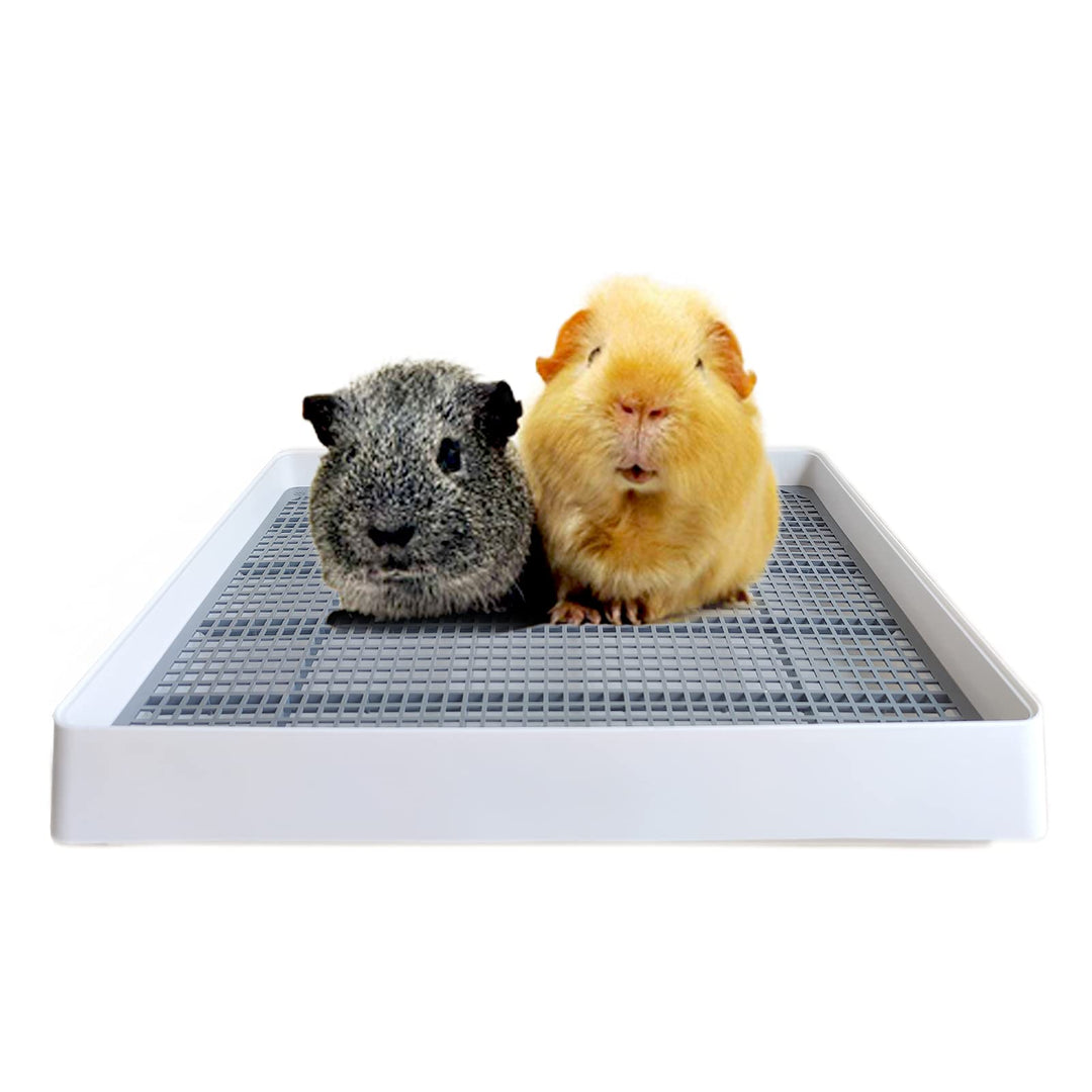 Rabbit Large Litter Box, Guinea Pig Training Pan Cage with Toilet Tray, Ideal for Rats, Ferret, Bunny Small and Medium Animals (Medium)