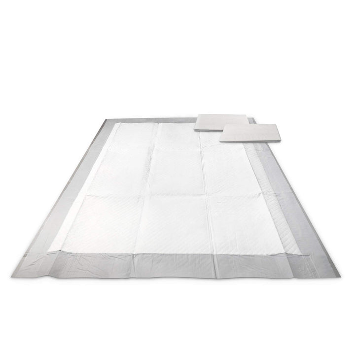 All-Absorb Dog/Puppy Potty Training Pads, 5-Layer Leak-Proof Ultra Absorb Eliminating Urine Odor Pet Pee Pad (Magic Funnel, L 22x23 inch,100ct)