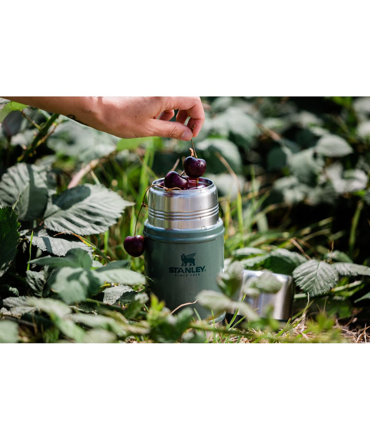 STANLEY Classic 24 oz. Hammertone Green Stainless Steel