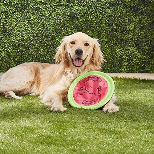 Chuckit! Petmate Tail-Spin Flyer Floating Dog Frisbee, Multi, 10-Inch