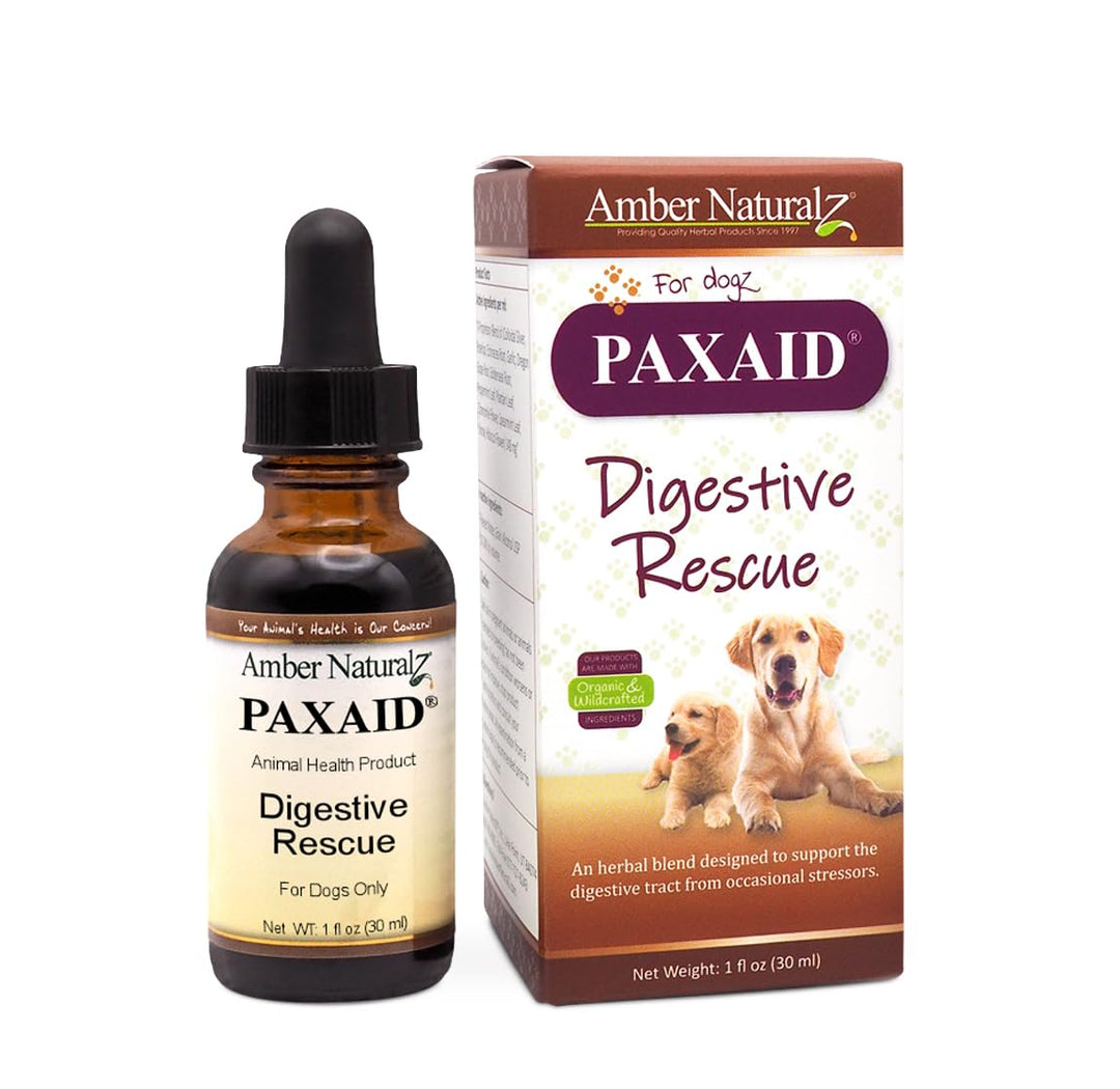 Amber NaturalZ Paxaid Digestive Rescue Herbal Supplement for Dogs and Puppies | Canine Herbal Supplement for Occasional Digestive Upset Support | 1 Fluid Ounce Glass Bottle | Manufactured in The USA
