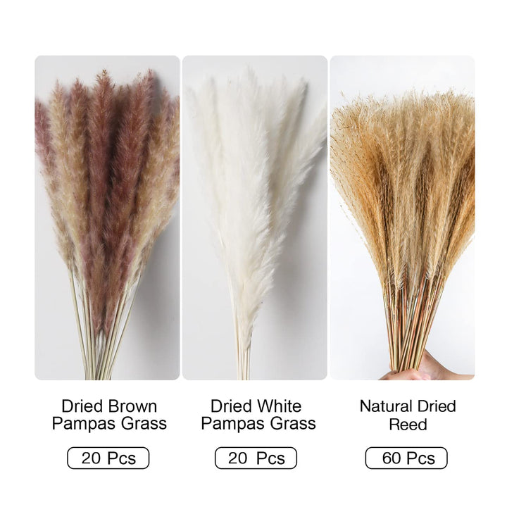 16.92 Dried White Pampas Grass 15 Pcs|Brown Dried Flower 15 Pcs|60 Pcs Natural Bunny Tails, Dried Flower for for Wedding Decoration &amp; Home Arrangement (80 Pcs)