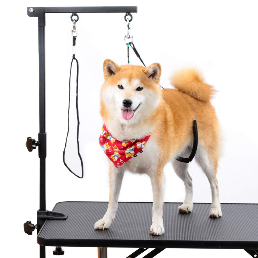 Dog Grooming Arm - 35 Dog Grooming Table Arm with Clamp and Post, Loop Noose, No Sit Haunch Holder Grooming Restraint for Small & Medium Dogs